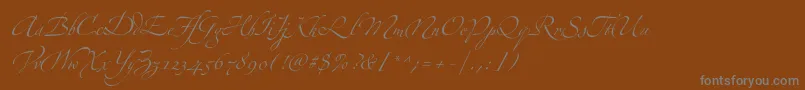 フォントZapfinoextraltFour – 茶色の背景に灰色の文字