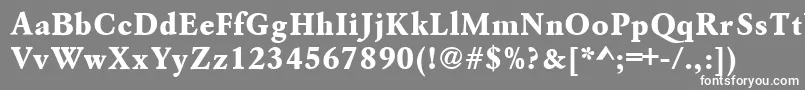 フォントAzgaramondextraboldctt – 灰色の背景に白い文字