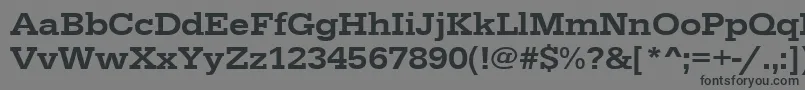 Urwegyptiennetmedextwid Font – Black Fonts on Gray Background
