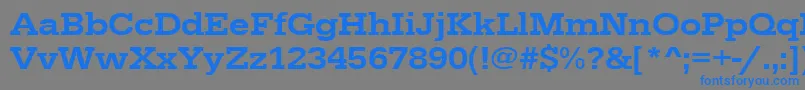 Urwegyptiennetmedextwid Font – Blue Fonts on Gray Background