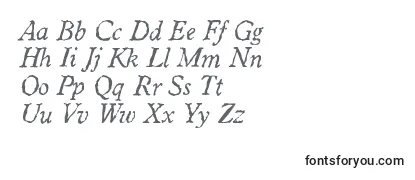 WorcesterrandomItalic Font
