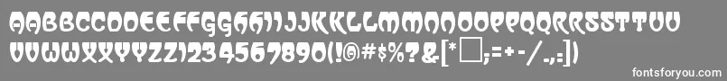 VassarRegular Font – White Fonts on Gray Background