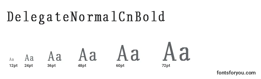 DelegateNormalCnBold Font Sizes