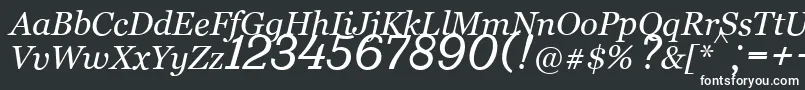 フォントBm431Italic – 白い文字