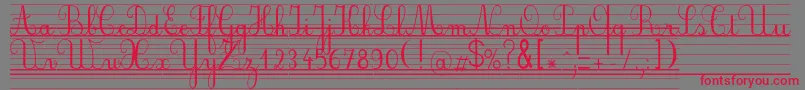 Seyesnde Font – Red Fonts on Gray Background