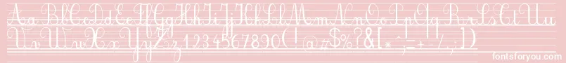 Seyesnde-Schriftart – Weiße Schriften auf rosa Hintergrund