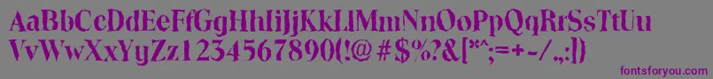 ToledorandomBold Font – Purple Fonts on Gray Background