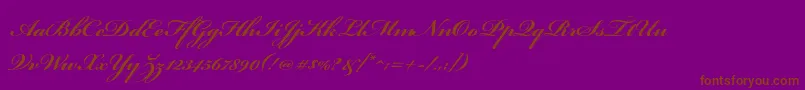 BickhamscriptproBold Font – Brown Fonts on Purple Background