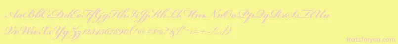 BickhamscriptproBold Font – Pink Fonts on Yellow Background