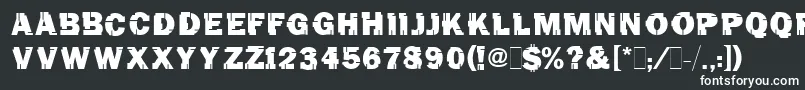 TinchoMugnolo Font – White Fonts
