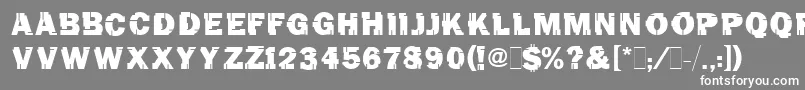 TinchoMugnolo Font – White Fonts on Gray Background