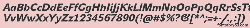 フォントJohnsansHeavyProItalic – ピンクの背景に黒い文字