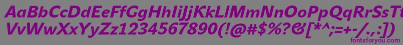 JohnsansHeavyProItalic Font – Purple Fonts on Gray Background