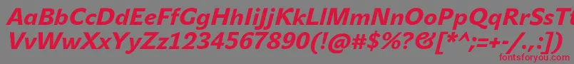 JohnsansHeavyProItalic Font – Red Fonts on Gray Background