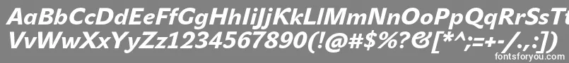 JohnsansHeavyProItalic-Schriftart – Weiße Schriften auf grauem Hintergrund