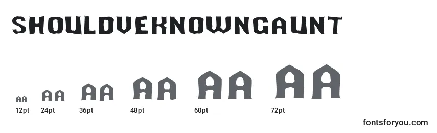 Shouldveknowngaunt Font Sizes