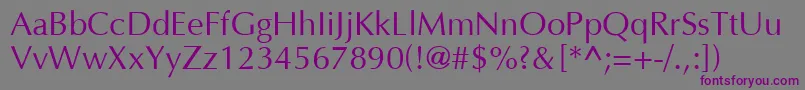 Opn Font – Purple Fonts on Gray Background