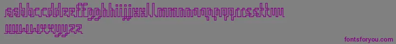 IqqRegular Font – Purple Fonts on Gray Background