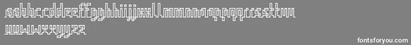 IqqRegular Font – White Fonts on Gray Background