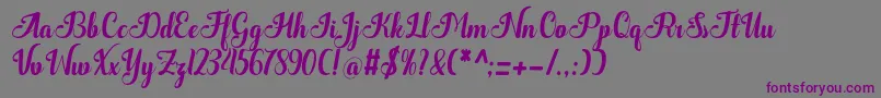 Quantum Font – Purple Fonts on Gray Background