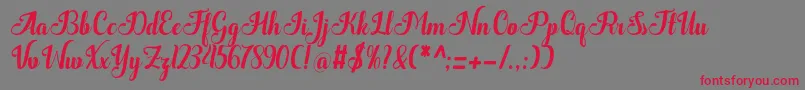 Quantum Font – Red Fonts on Gray Background