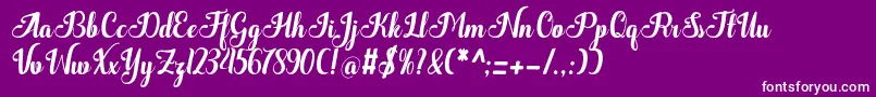 Quantum Font – White Fonts on Purple Background