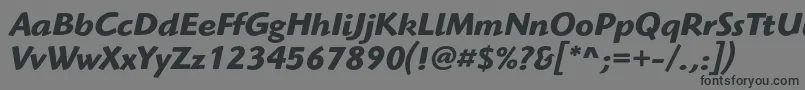 HighlanderstdBolditalic Font – Black Fonts on Gray Background
