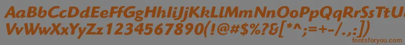 HighlanderstdBolditalic Font – Brown Fonts on Gray Background