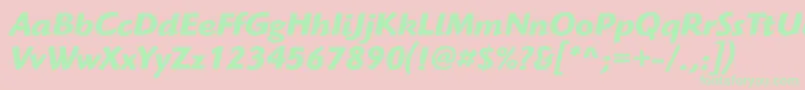 HighlanderstdBolditalic Font – Green Fonts on Pink Background