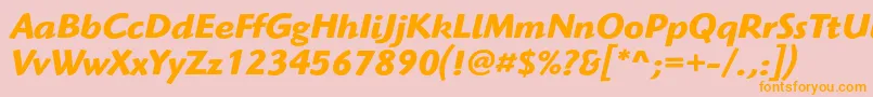 HighlanderstdBolditalic Font – Orange Fonts on Pink Background