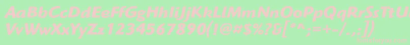 HighlanderstdBolditalic Font – Pink Fonts on Green Background