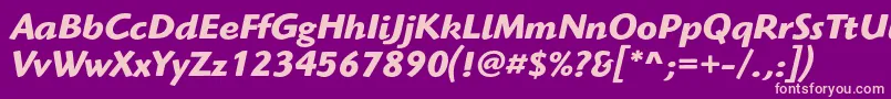 HighlanderstdBolditalic Font – Pink Fonts on Purple Background