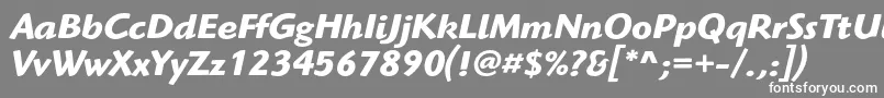 HighlanderstdBolditalic Font – White Fonts on Gray Background
