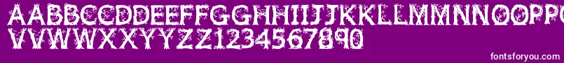 Шрифт Jfwildwood – белые шрифты на фиолетовом фоне