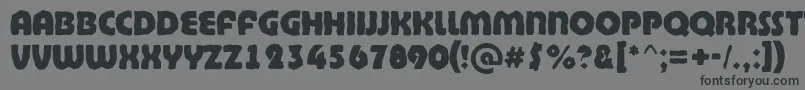 BighaustitulbrkExtrabold Font – Black Fonts on Gray Background