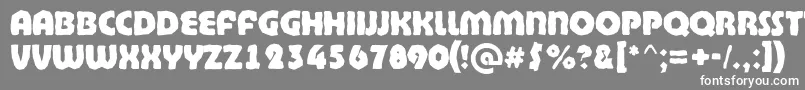 フォントBighaustitulbrkExtrabold – 灰色の背景に白い文字