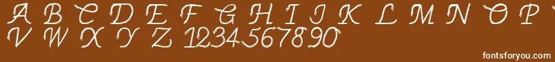 Thinrope Font – White Fonts on Brown Background