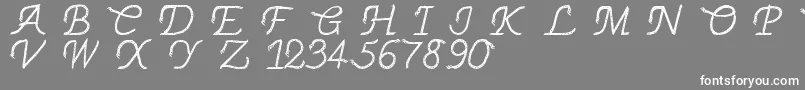 フォントThinrope – 灰色の背景に白い文字