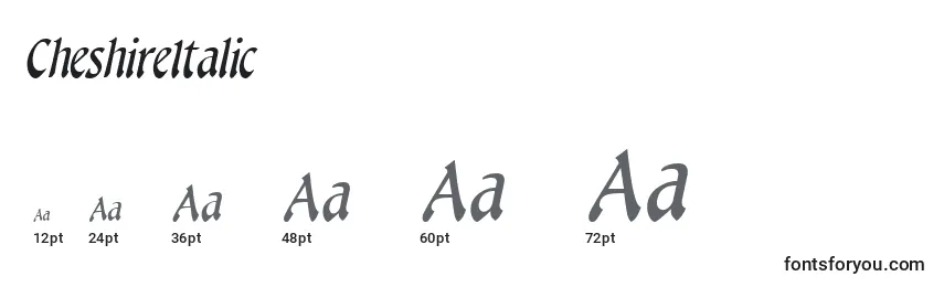 Размеры шрифта CheshireItalic
