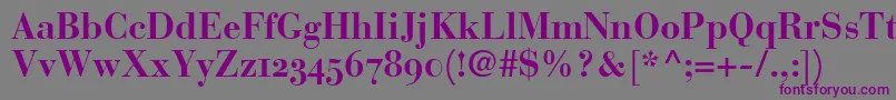 BauerBodoniBoldOldstyleFigures Font – Purple Fonts on Gray Background