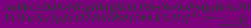 PetersburgcttBolditalic Font – Black Fonts on Purple Background