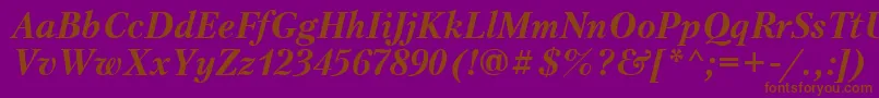 PetersburgcttBolditalic Font – Brown Fonts on Purple Background