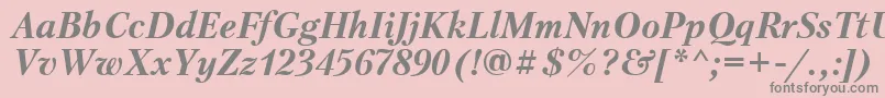 PetersburgcttBolditalic Font – Gray Fonts on Pink Background