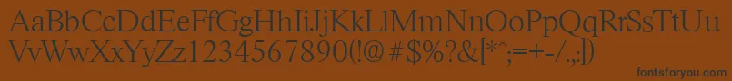 RiccioneserialXlightRegular Font – Black Fonts on Brown Background