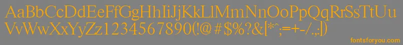 RiccioneserialXlightRegular Font – Orange Fonts on Gray Background