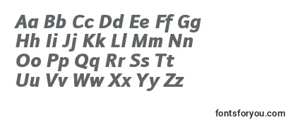 DoradaniblItalic Font