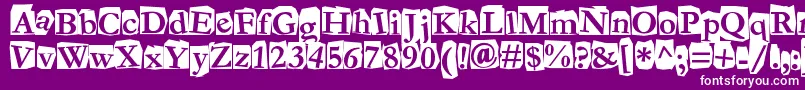 Fanzine Font – White Fonts on Purple Background