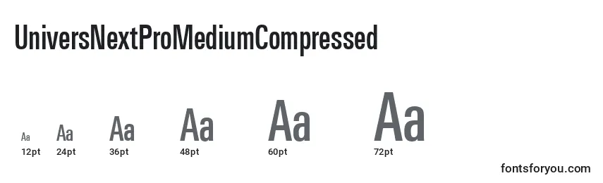 UniversNextProMediumCompressed Font Sizes