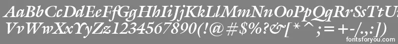 フォントGalliardBoldItalicBt – 灰色の背景に白い文字