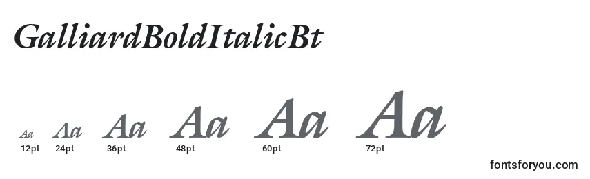 Размеры шрифта GalliardBoldItalicBt